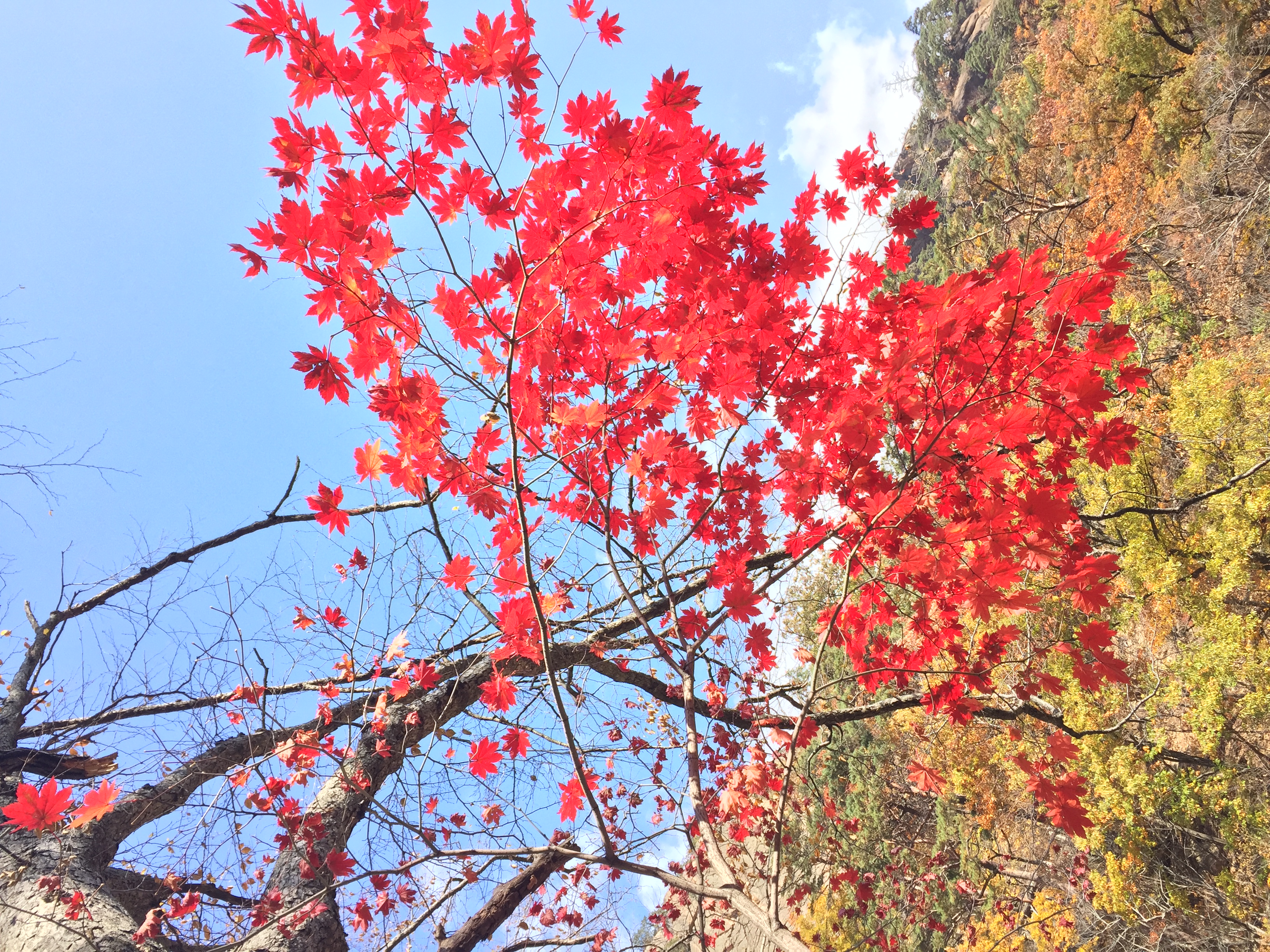 雪岳山